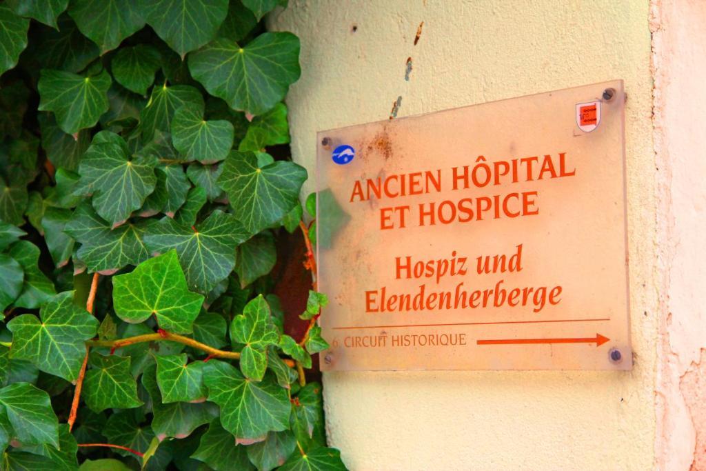 La Grenouille Apartman Turckheim Kültér fotó